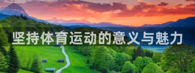 速8体育网：坚持体育运动的意义与魅力