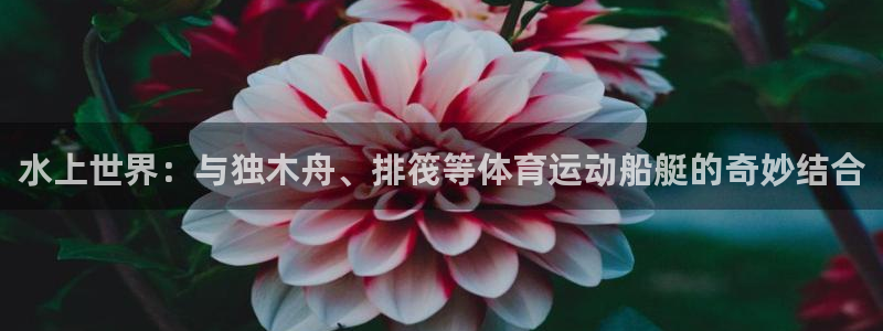 速8体育网：水上世界：与独木舟、排筏等体育运动船艇的奇妙结合