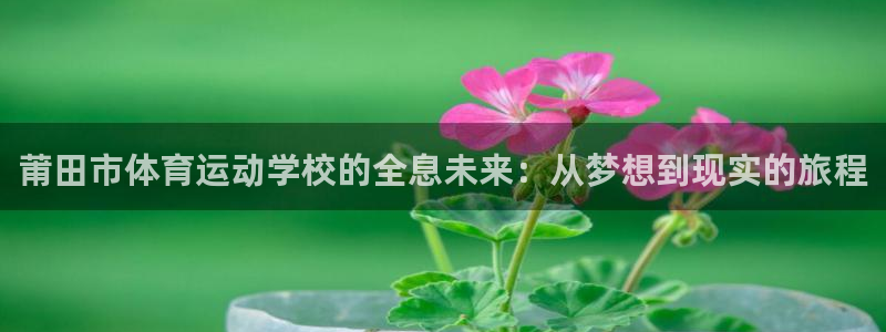 速8体育网：莆田市体育运动学校的全息未来：从梦想到现实的旅程