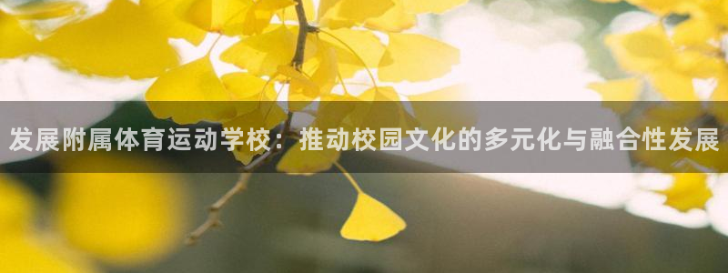 速8体育网：发展附属体育运动学校：推动校园文化的多元化与融合性发展