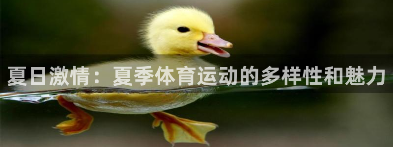 速8体育网：夏日激情：夏季体育运动的多样性和魅力
