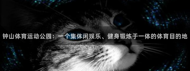 速8体育网：钟山体育运动公园：一个集休闲娱乐、健身锻炼于一体的体育目的地