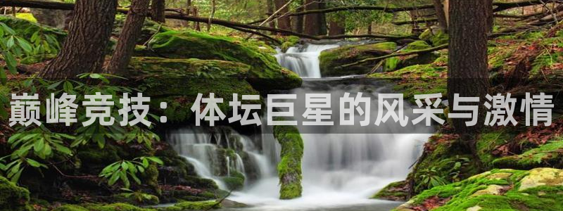 速8体育网：巅峰竞技：体坛巨星的风采与激情