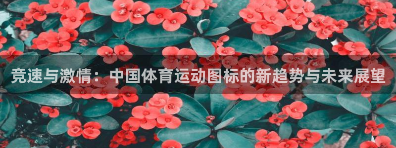速8体育网：竞速与激情：中国体育运动图标的新趋势与未来展望