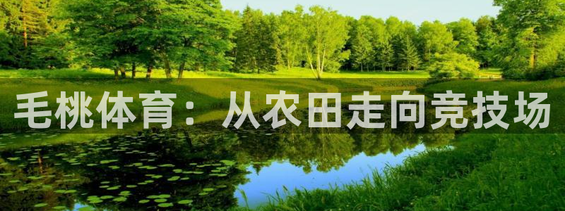 速8体育网：毛桃体育：从农田走向竞技场