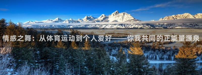 速8体育网：情感之舞：从体育运动到个人爱好——你我共同的正能量源泉