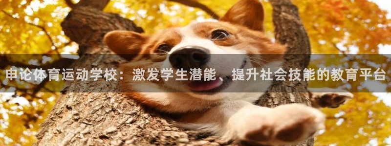 速8体育网：申论体育运动学校：激发学生潜能、提升社会技能的教育平台
