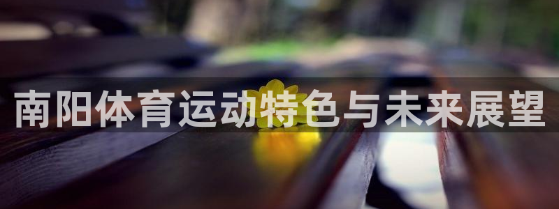 速8体育网：南阳体育运动特色与未来展望